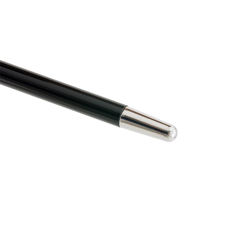 Pasotti Silver Lion Cane — view 4