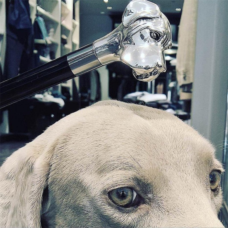 Pasotti Silver Labrador Shoehorn — view 6